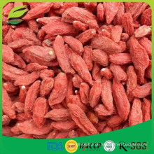 Getrocknete chinesische rote Bio-Goji-Beere